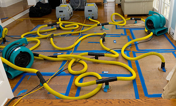 Professional Sewage Cleanup technician working in Lakewood, CA